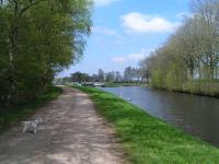 Klik op de foto voor groter formaat